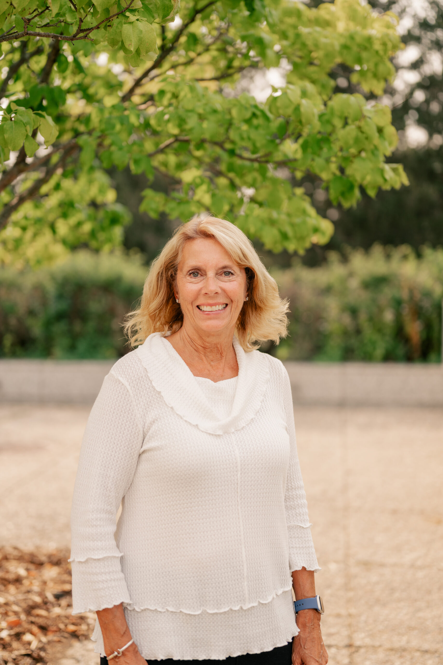 Sue Palmer